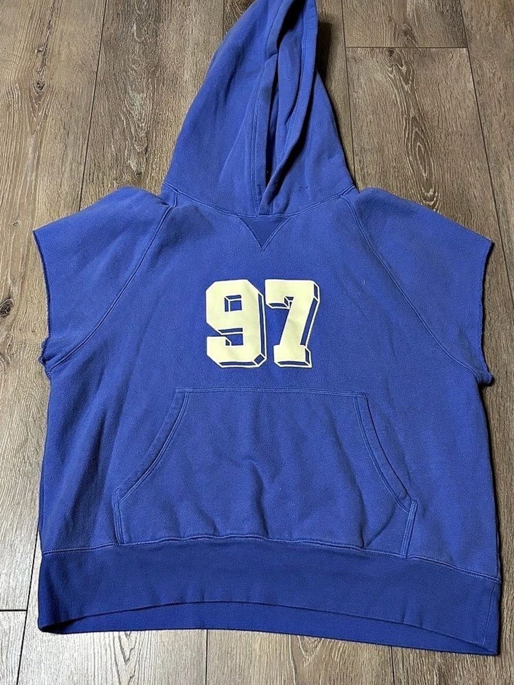 Aritzia / 23Tna Boyfriend 97 Graphic Sleeveless Hoodie Blue